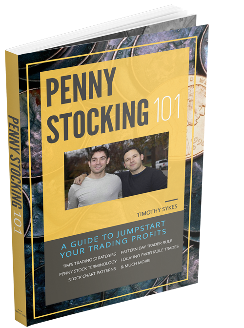 Penny Stock 101 Guide